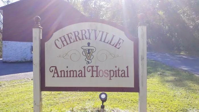 Cherryville Animal Hospital Picture 6