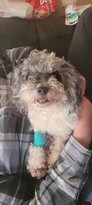 Cherryville Animal Hospital Picture 8