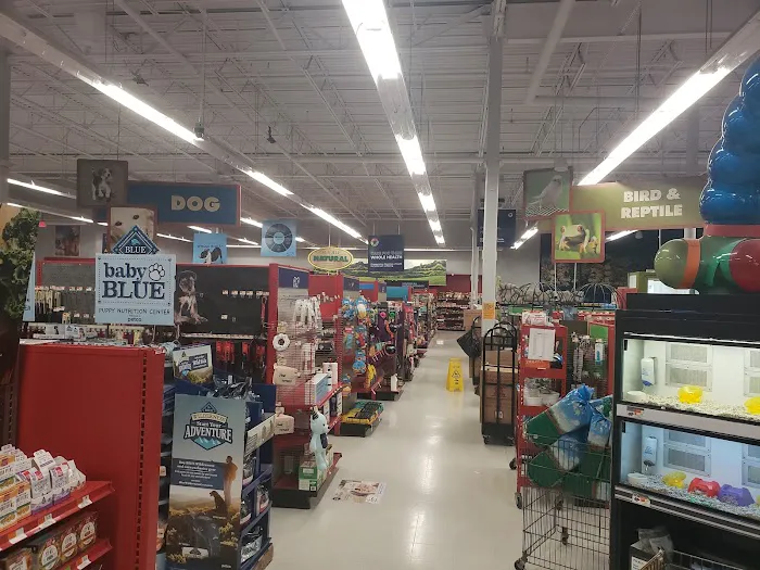 Petco Picture 3