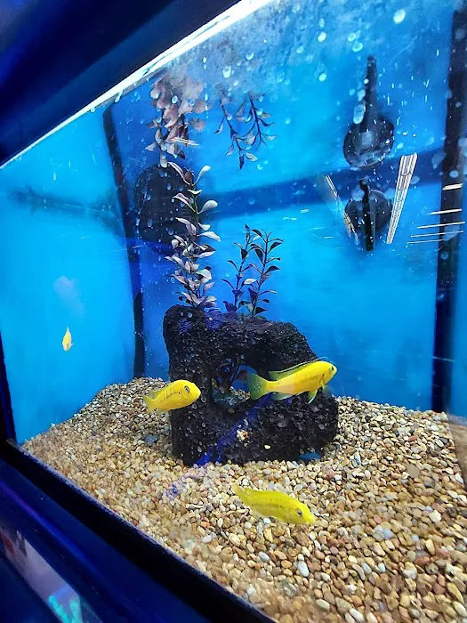 Petco Picture 5