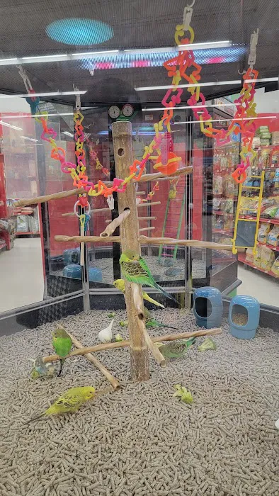 Petco Picture 4