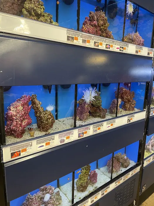 Petco Picture 9
