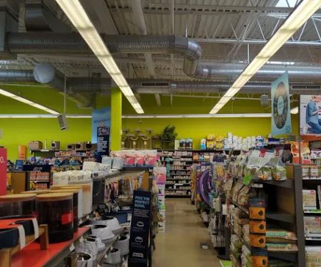 Unleashed by Petco