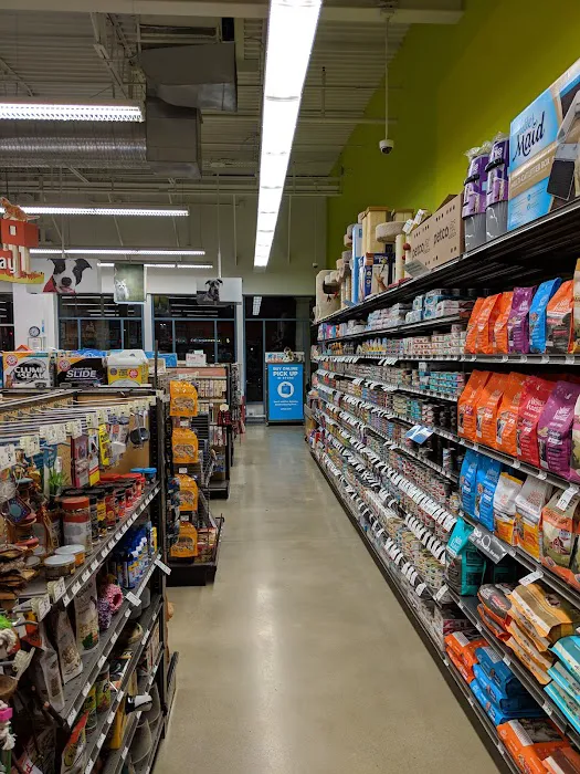 Unleashed by Petco Picture 8