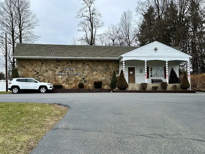 Chester Animal Hospital Picture 2