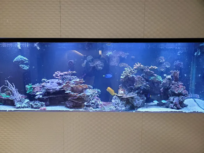 Tanks for your Business Picture 4