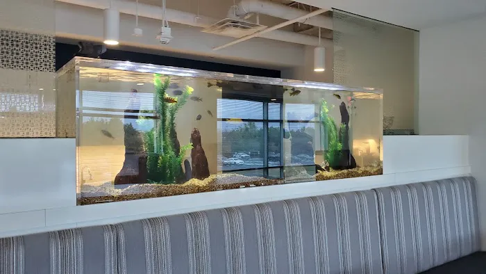 Tanks for your Business Picture 2