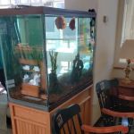 Tanks for your Business