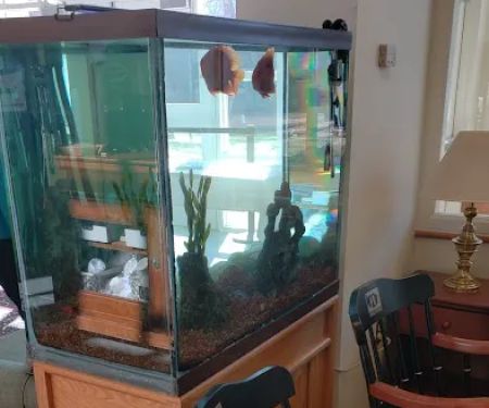 Tanks for your Business