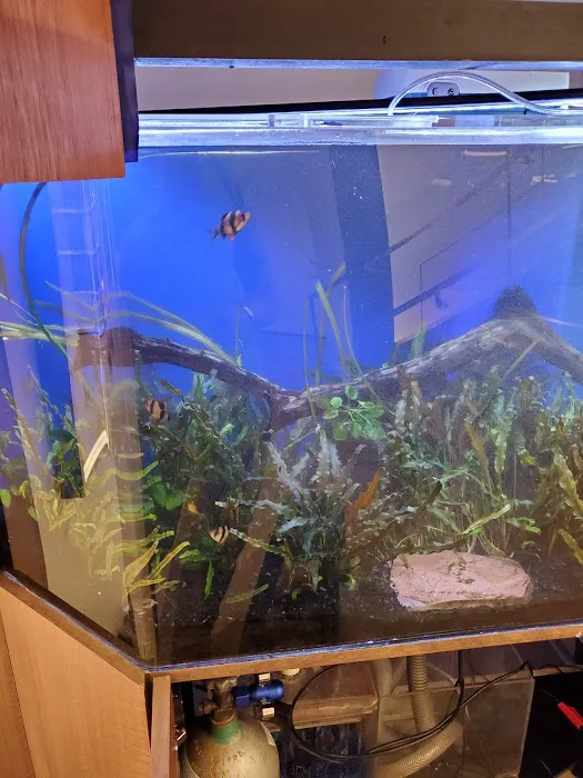 Tanks for your Business Picture 6
