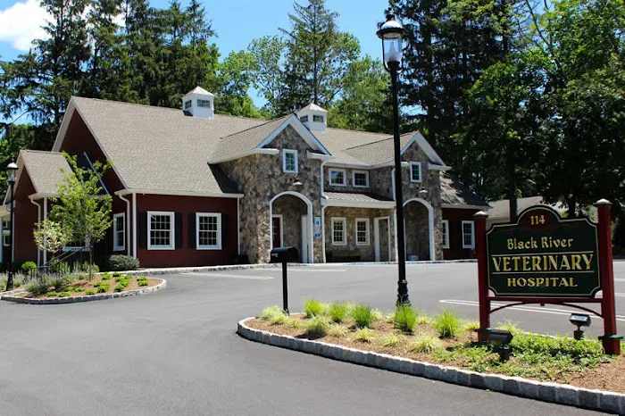 Black River Veterinary Hospital Picture 3