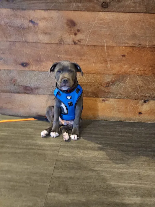 Black River Veterinary Hospital Picture 8