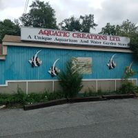 Aquatic Creations Ltd ico
