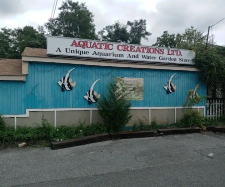 Aquatic Creations Ltd