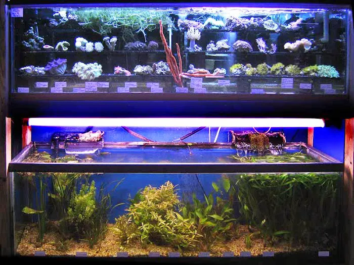 Aquatic Creations Ltd Picture 2