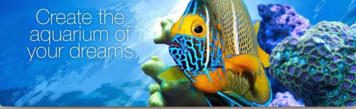 Aquatic Creations Ltd Picture 3