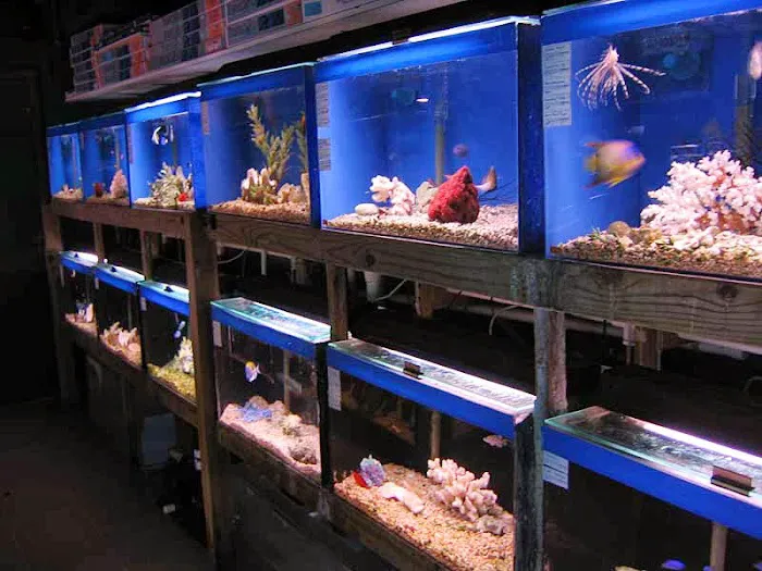 Aquatic Creations Ltd Picture 4