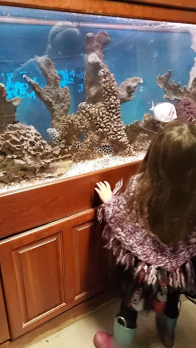 Aquatic Creations Ltd Picture 7