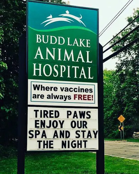 Budd Lake Animal Hospital Picture 2