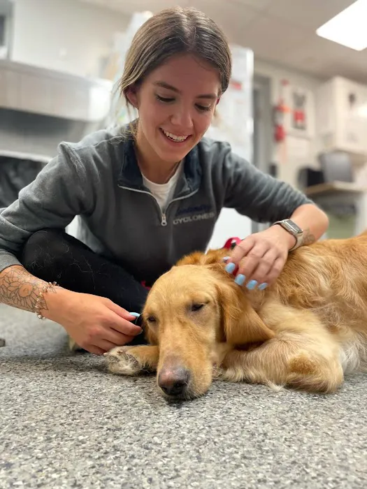Budd Lake Animal Hospital Picture 4
