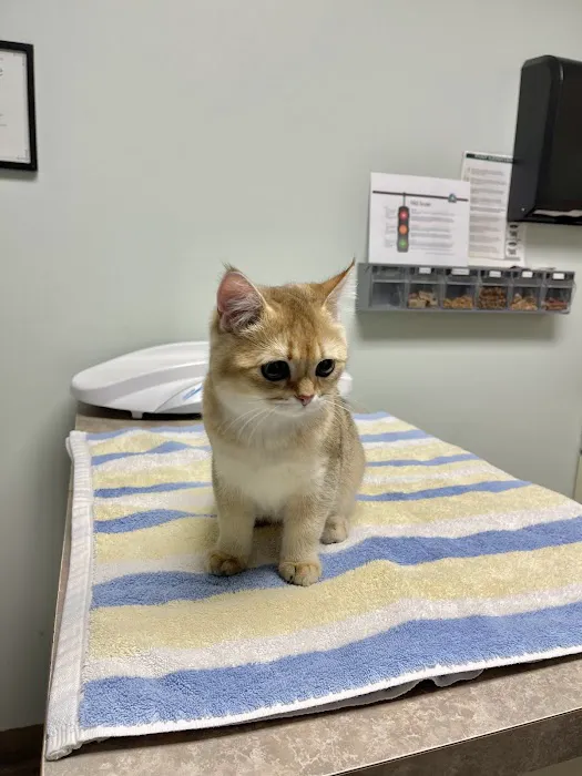 Animal Care Centers Picture 2