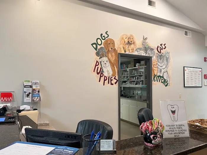 Animal Care Centers Picture 5