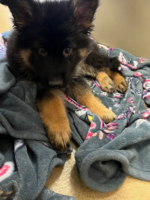 Animal Care Centers Picture 4