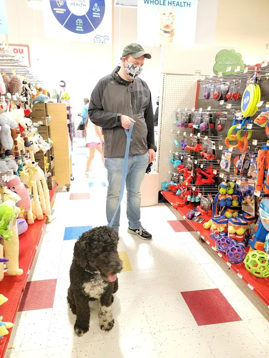 Petco Picture 2