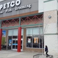 Petco ico