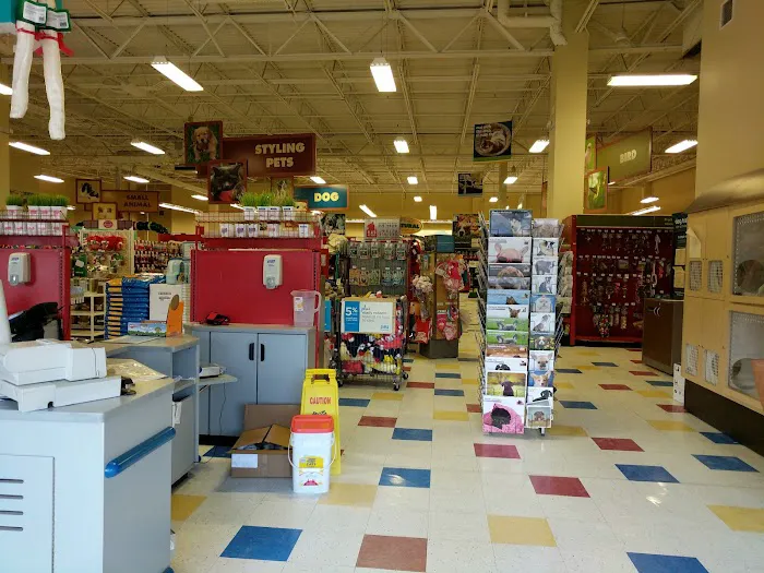 Petco Picture 8