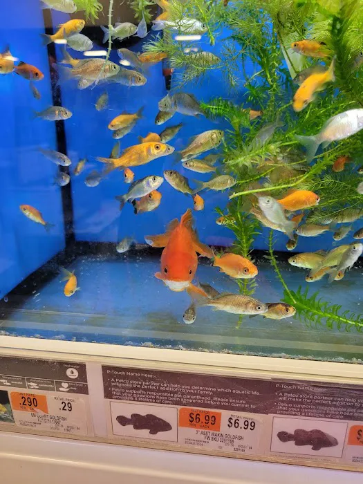 Petco Picture 7