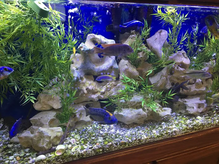 Congressional Aquarium Picture 3