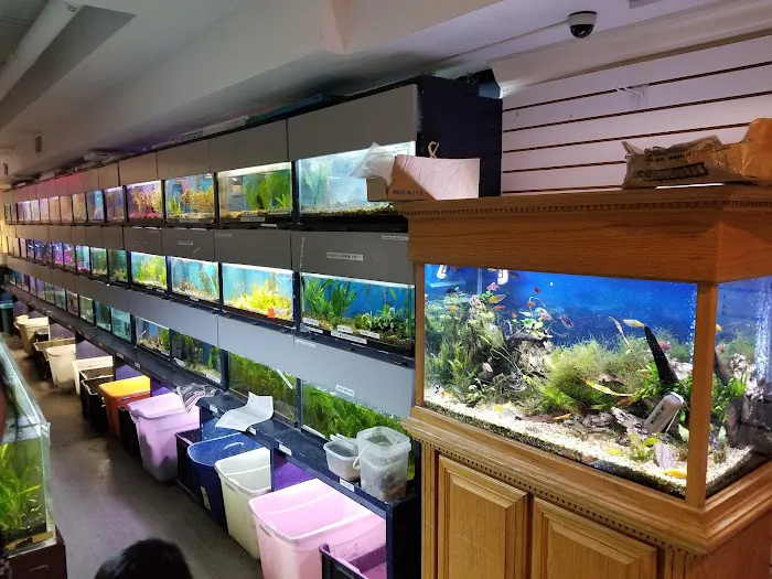 Congressional Aquarium Picture 2
