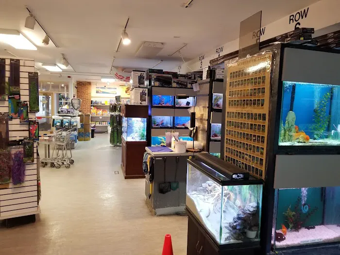 Congressional Aquarium Picture 4