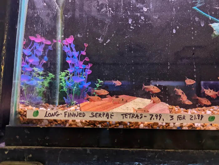 Congressional Aquarium Picture 6