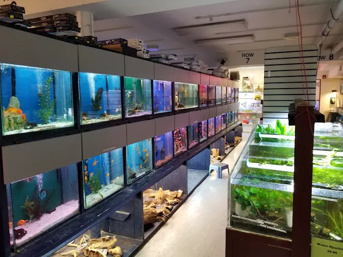 Congressional Aquarium Picture 8