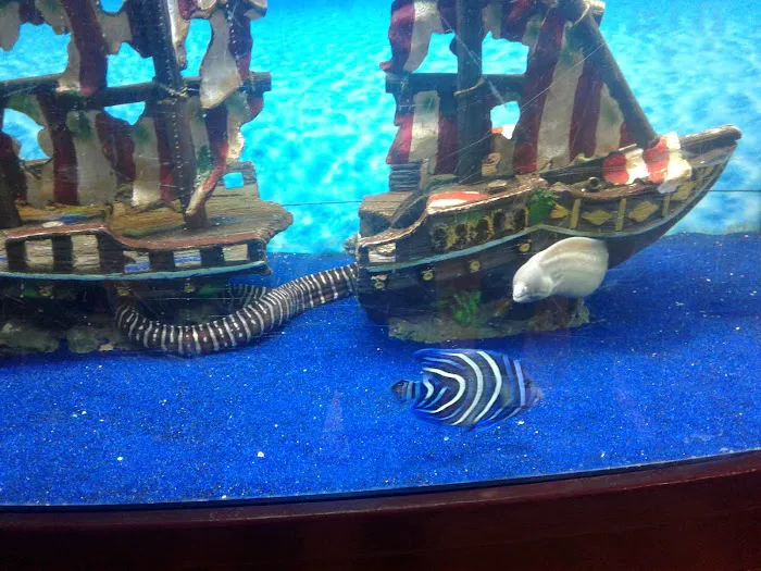 Congressional Aquarium Picture 10