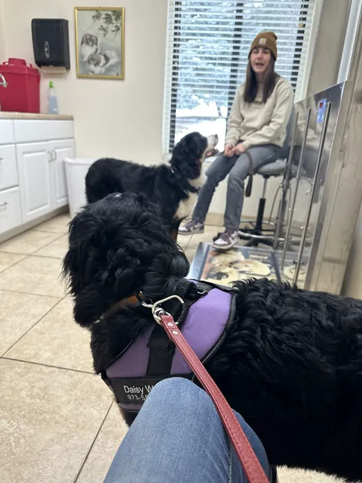 Flanders Veterinary Clinic Picture 10