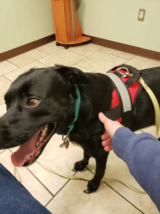 Kutztown Animal Hospital Picture 3