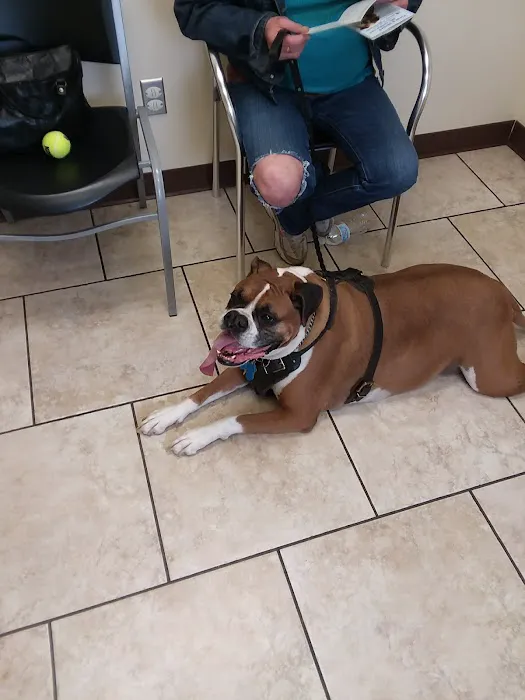 Kutztown Animal Hospital Picture 1