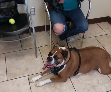 Kutztown Animal Hospital