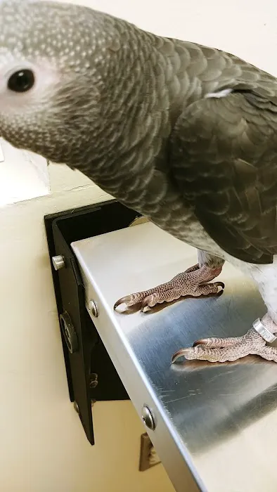 Kutztown Animal Hospital Picture 4
