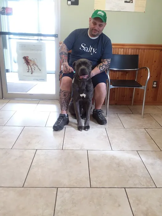 Kutztown Animal Hospital Picture 6