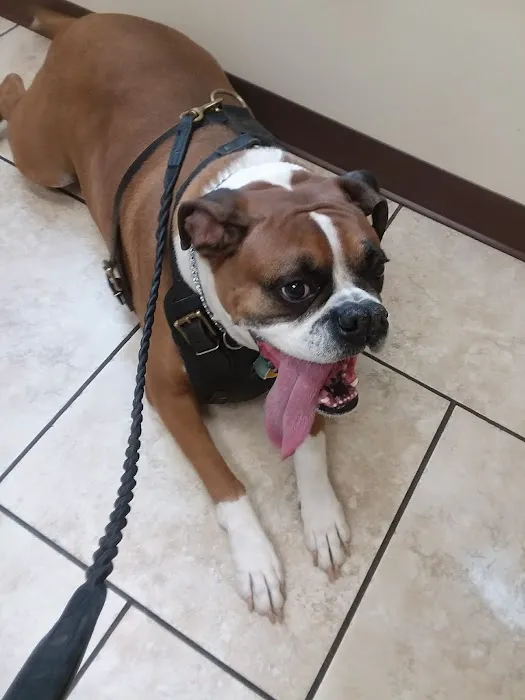 Kutztown Animal Hospital Picture 8