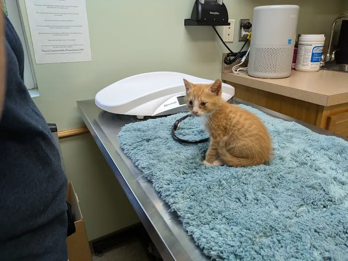 Kutztown Animal Hospital Picture 10
