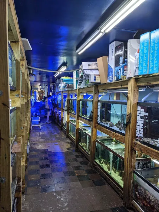 Tropical Lagoon Aquarium Picture 1