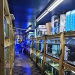 Tropical Lagoon Aquarium