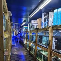 Tropical Lagoon Aquarium ico
