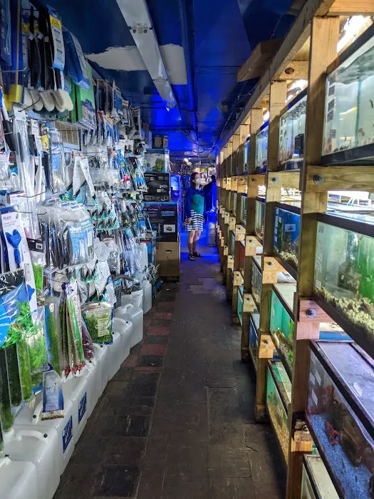 Tropical Lagoon Aquarium Picture 6