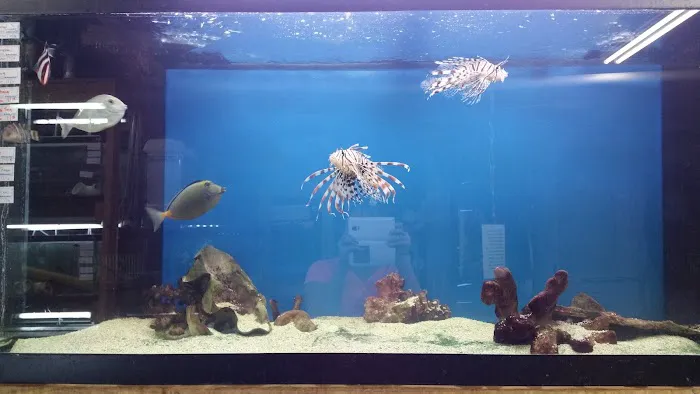 Tropical Lagoon Aquarium Picture 7